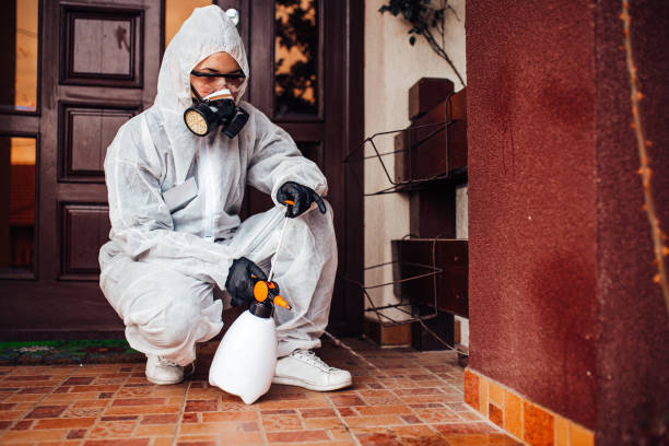 Reliable Ant Control contractor in Hollis, OK by Nex Pest Control