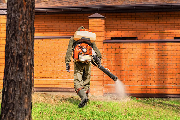 Trusted Termite Control service in Hollis, OK - Nex Pest Control